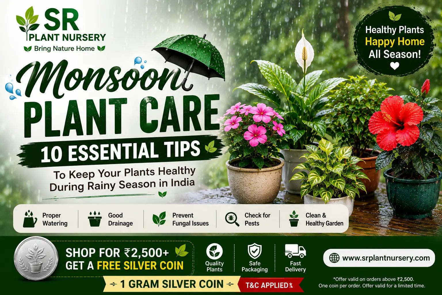Monsoon Plant Care: 10 Essential Tips for Healthy Plants During India's Rainy Season