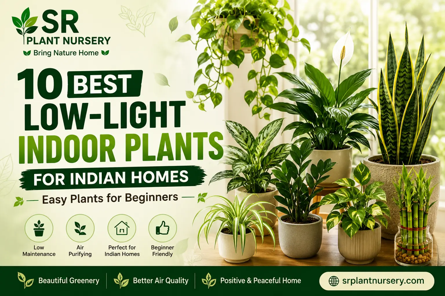 Nurturing Greenery: Best Low-Light Indoor Plants for Indian Homes