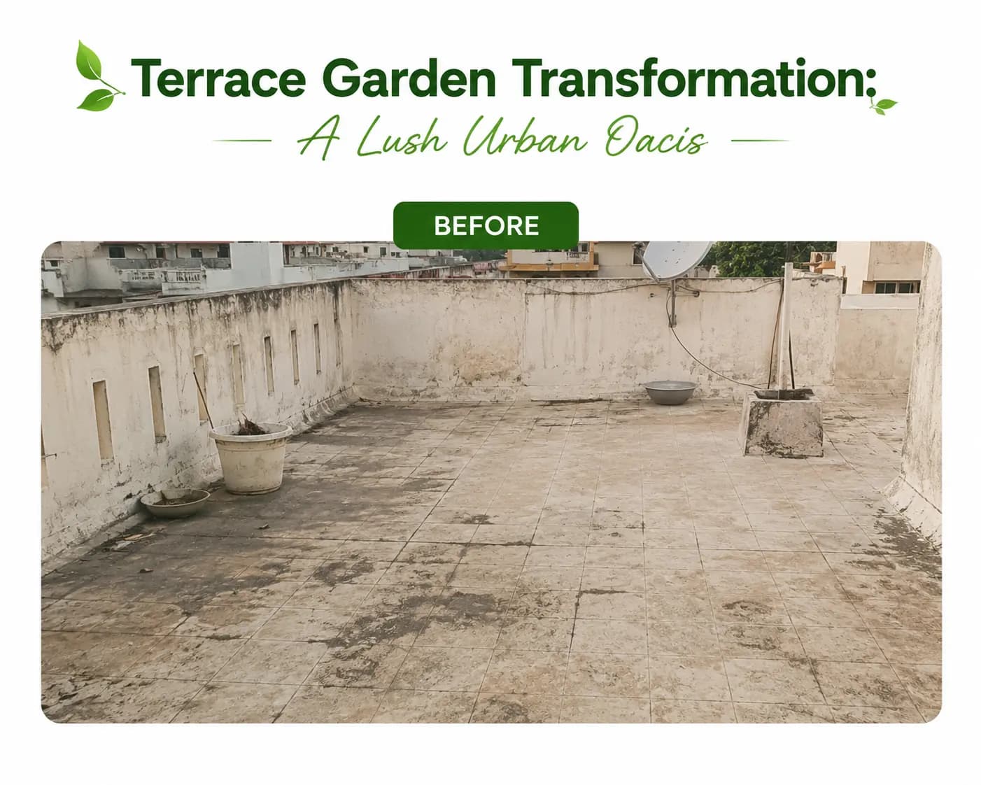 Terrace Garden Transformation: A Lush Urban Oasis before